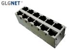 Magnetic RJ45 Connector 2 x 6 RJ45 Multiple port Connector 1000 Base -T Through