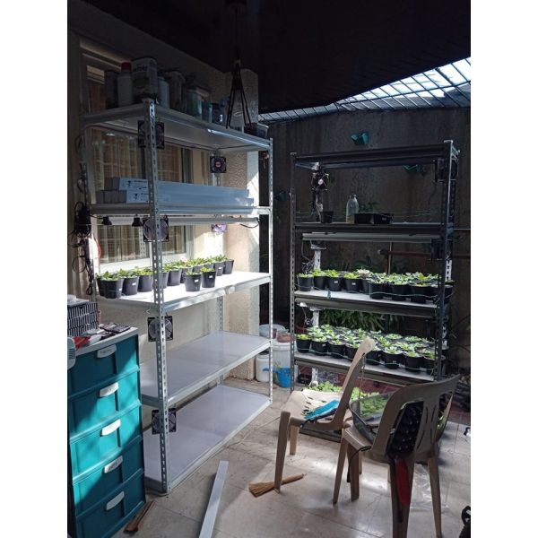 Propagation Tray Nursery Tray With EDJ LED Grow Light For Seedling