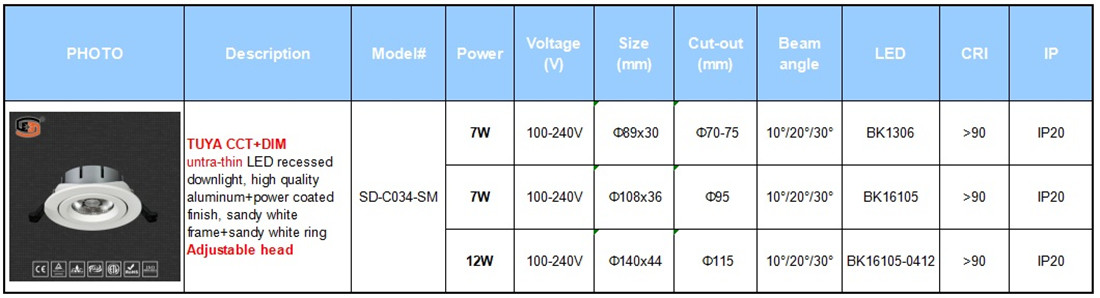 12W Ultra-thin Bluetooth Downlight