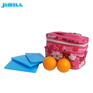 Portable HDPE Plastic Reusable Ultra Thin Ice Pack Cooler Cold Packs For Cooler