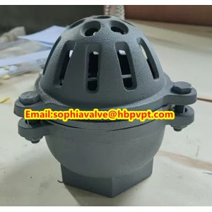 EPDM resilient seal cast iron PN10 foot valve