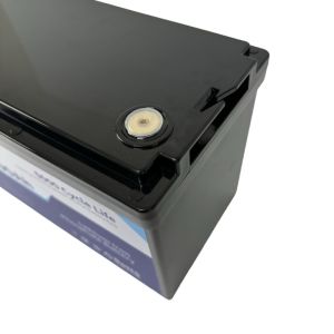 12V 100Ah LiFePO4 Lithium Battery Long Life 6000 Cycles For Energy Storage