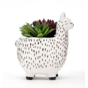 Animal Flower Pots Succulent Plant Pot Customized Plant Propagation Planter