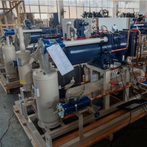 Parallel Structure Screw Compressor Rack With Copeland / Fracold / Daming