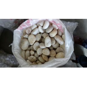 Popular&Hot Sales Natural Pebble Stone,White Pebble,Black Pebble,High Polished