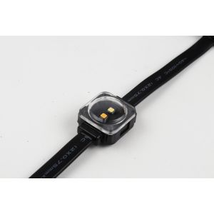 Outdoor Waterproof 25mm RGB Full Color DC12V IP67 SMD3535 LED Pixel Amusement