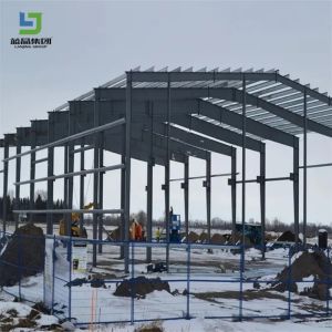 High Quality Construction Material Modular Building Customized Steel Structure