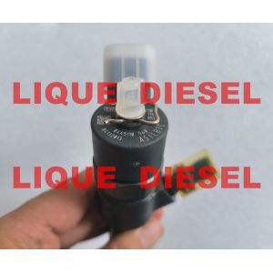 BOSCH common rail fuel injector 0445110560 0 445 110 560 0445 110 560