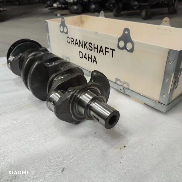 D4HA 23110-2F310 6F036-2FH00 Engine Crankshaft