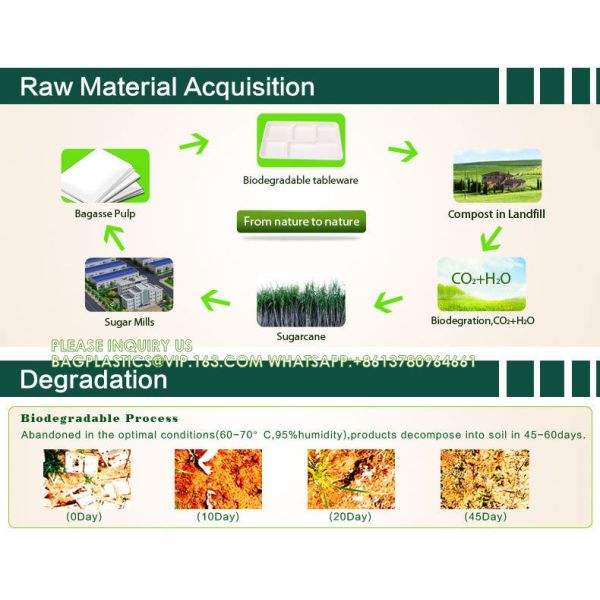 Customized Food Grade Biodegradable Disposable 1000ml 90mm Tall Sugarcane Bagasse Bowl With Lid
