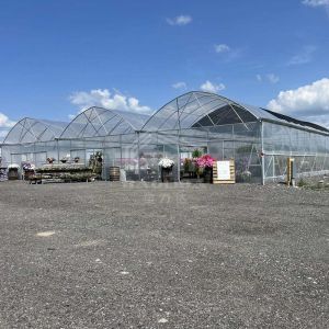 Continuous Structure Multiple Bays Connected Multi Span High Tunnel Greenhouse