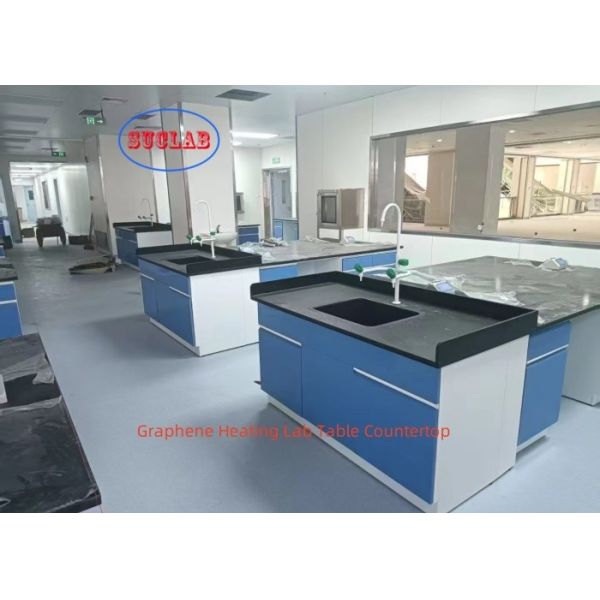 Buy Non-welded Linear Handle Chemistry Lab Bench Warm Laboratory Casework with Multi-Functional Socket and DTC 16-Inch Silent Rail at wholesale prices