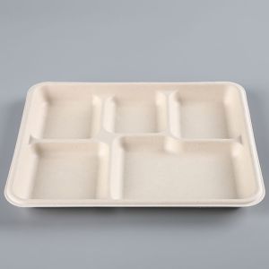 biodegradable tableware Rectangle 5 division meal snack Tray