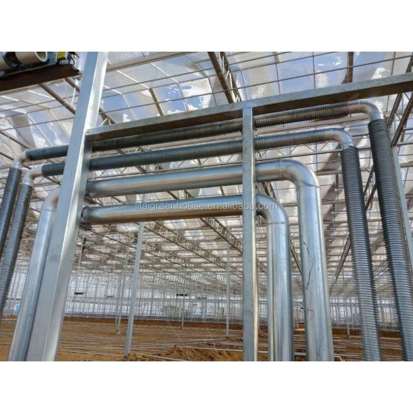 Green Agricultural Glass Greenhouse with 5mm Covering Span Width 9.6m 10.8m 12m