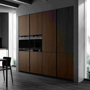 Luxury Home Furniture Modular Walnut Wood Veneer Matt Black Color Glass Door