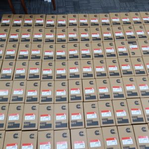 Cummins Original Quality Construction Machinery Spare Parts 3904166 Cylinder