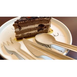 Compostable Disposable Bagasse Serving Spoons Cutlery
