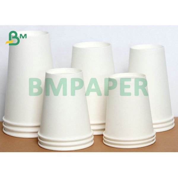 Cup Paper C1S C2S 15g PE Coated Paper 185gsm 210gsm For Paper Cups