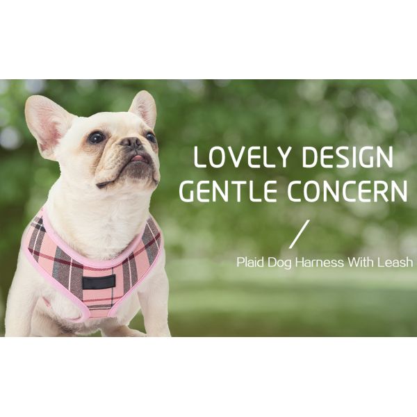 Breathable Materials Nylon Dog Harness Soft Mesh Comfort Padded Puppy Vest No Pull