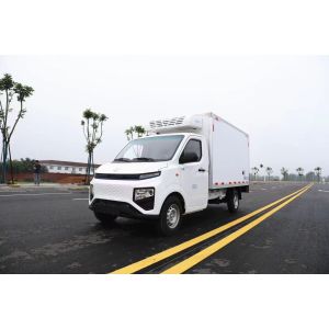 Geely Energy Refrigerated Delivery Van Engine Capacity 4L Small Refrigerated