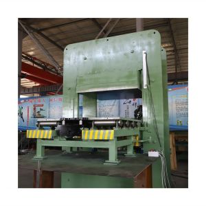 Plate Vulcanizing Press for Brake Pedal Pad Making Machinery of High Cost