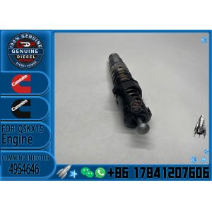 4954646 Genuine Diesel Engine Common Rail QSX15 Fuel Injector 4076963 4903028