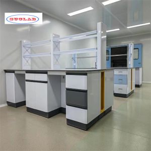 Polishing Chemistry Lab Furniture - Achieve Optimum Functionality