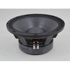 200x25mm Double Magnet 800W RMS 2KHz 12 Inch PA Subwoofer