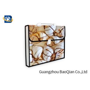 Lenticular Plastic Envelope Folder , Expanding Document Folder 3D UV Printing