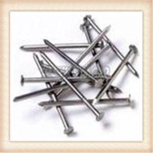 Quality Common Nail Q195 2.5&quot; x BWG12 for sale