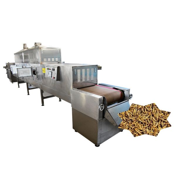 Digital Intelligent Black Soldier Fly Larvae Microwave Drying Machine Big