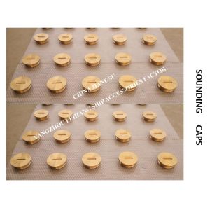 FUEL OIL TANKS SOUNDING CAPS