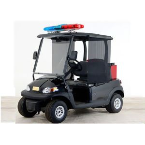 Electrica 2 Seats Patrol Cart 48V With Alarm Light