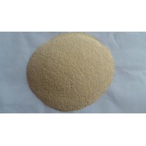 A Grade Dehydrated Garlic Granules from Factory Directly