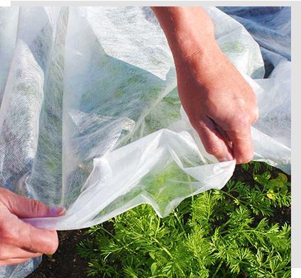 Buy 6400mm Agricultural Nonwoven Weed Control Fabric 60gsm at wholesale prices