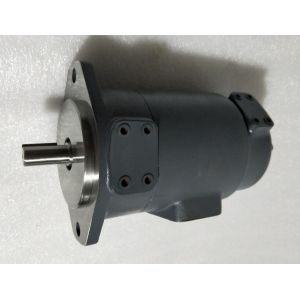 Fixed Displacement Industrial Hydraulic Pump Dual Vane Pump Low Noise