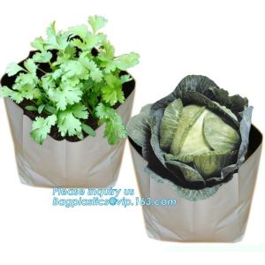 15 GALLON Hole Plastic LDPE Grow Bags For Nursery, Black & White PE Grow Bags