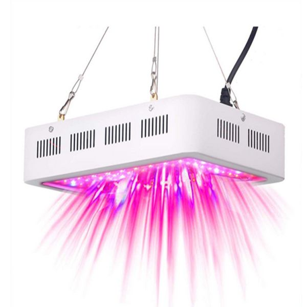 Buy High Reliability Double Chip LED Grow Light With Overheat Protection at wholesale prices