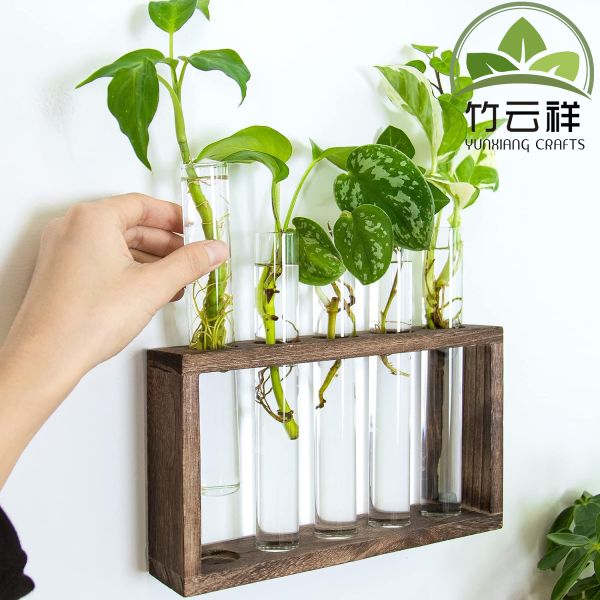 Customized Wood Stand Rack Tabletop Terrarium for Hydroponic Plants Cuttings Office Home Decoration, Gift for Plant Lover