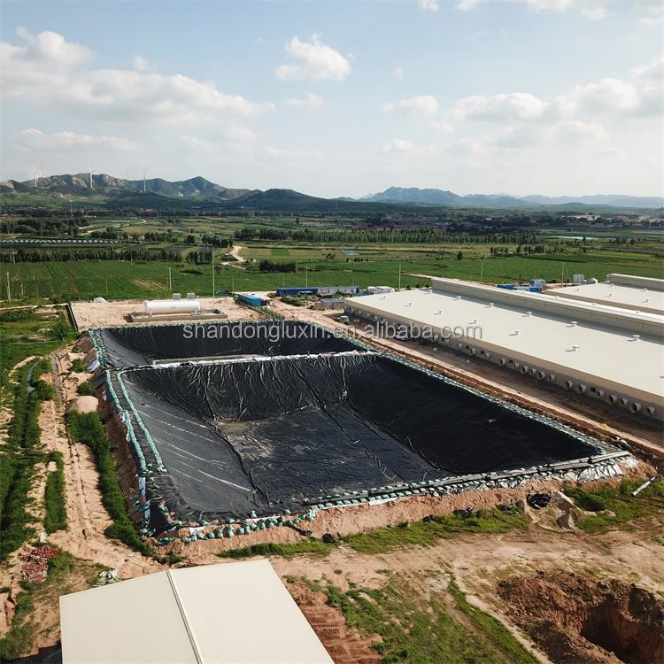 Quality Industrial Waterproof Geomembrane HDPE Liner for Shrimp Farming Glossy Black Design for sale