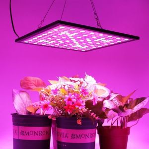 Lightweight Energy Efficient Grow Lights Led Flowering Grow Lights 3 Years