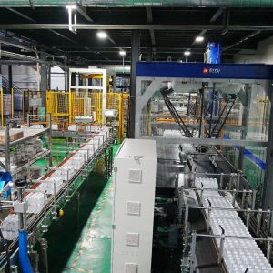 Automatic Gantry Palletizer Water Bottle Case Box Carton Palletizer