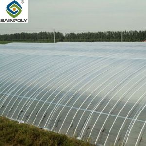 Buy cheap Sainpoly Multi Span Greenhouse Agricultural / Commercial / Industrial Plastic from wholesalers