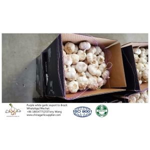 China garlic to Brazil