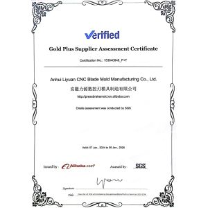 Anhui Liyuan CNC Blade Mold Manufacturing Co., Ltd. Certifications