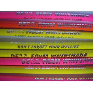 Automatic Pencil Hot Stamping Machine