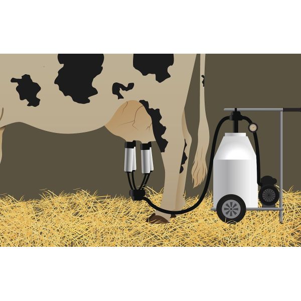 Diesel Engine Mobile Cow Portable Milking Machine Electric Goat Vacuum Pump