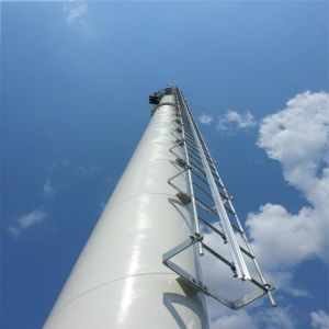 30m 35m 40m Galvanized 4g /5g Cell Sites Monopole Cell Phone Tower Signal