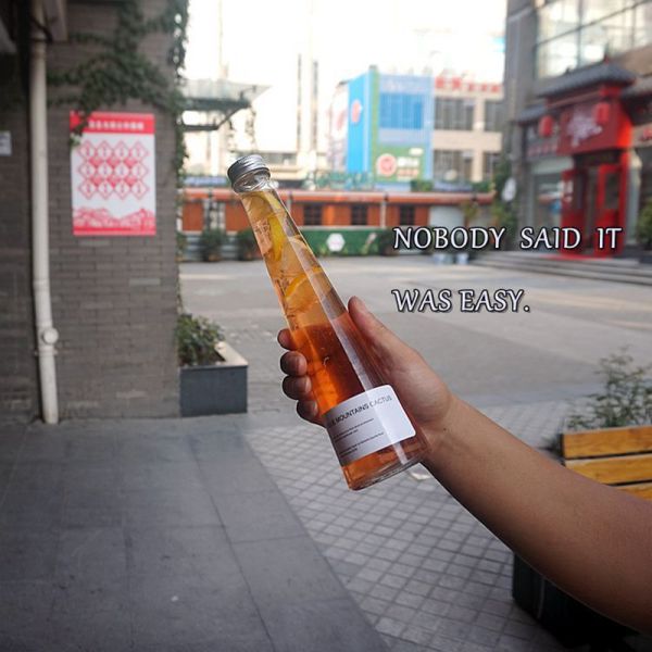 250ml / 350ml Fruit Juice Bottle , BPA Free Soda Lime Glass Tea Water Bottle