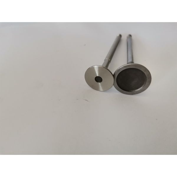 Buy 3998AC Diesel Engine Valve For FIAT at wholesale prices